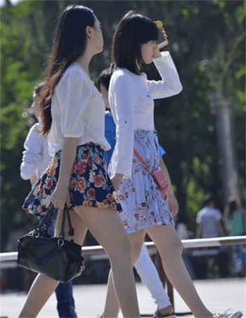红杏出墙系列文