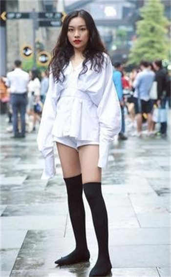 小蝌科旧版本黄板