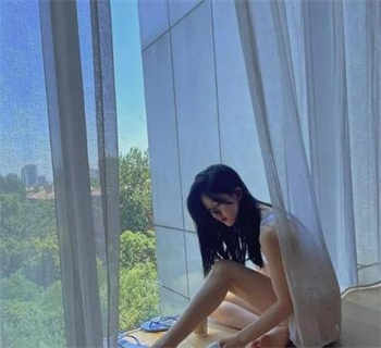 动物交战高清视频