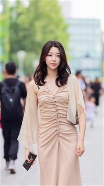 陆琛安晚小说免费读